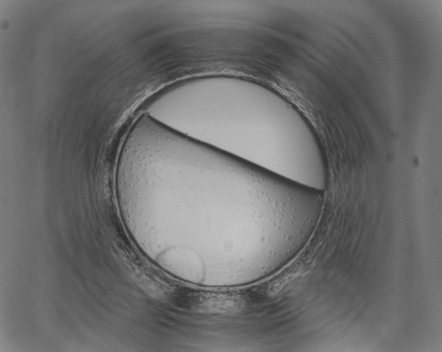 X0000067520347200604071030