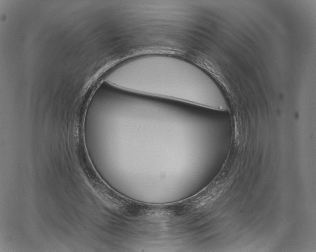 X0000067520348200604071030