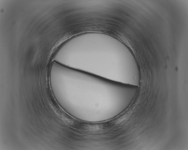 X0000067520349200604071030