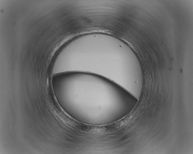 X0000067520350200604071030