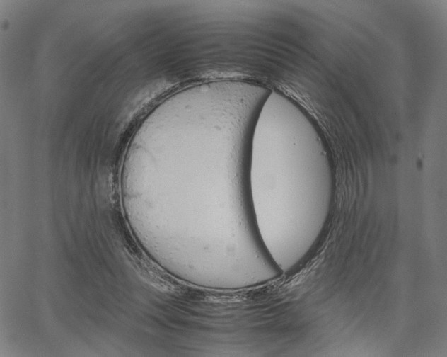 X0000067520351200604071030