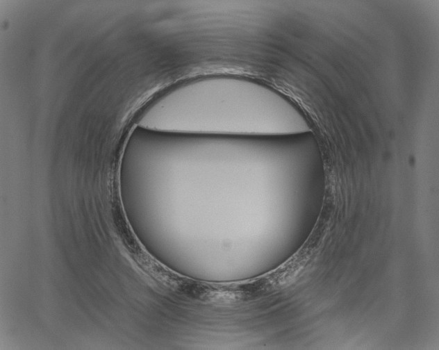 X0000067520352200604071030