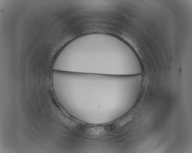 X0000067520353200604071030