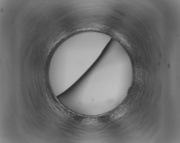 X0000067520354200604071030