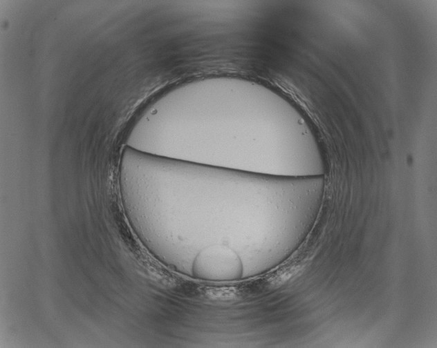 X0000067520355200604071030