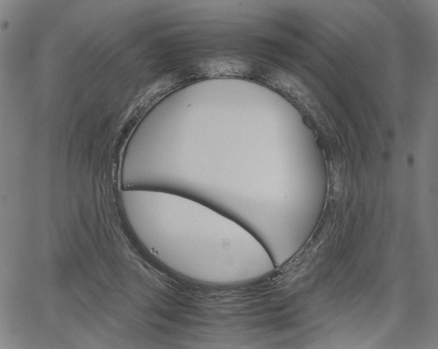 X0000067520357200604071030