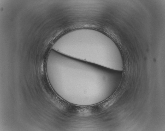 X0000067520358200604071030