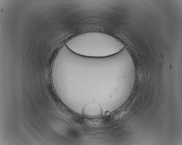 X0000067520359200604071030