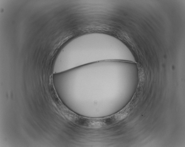 X0000067520360200604071030