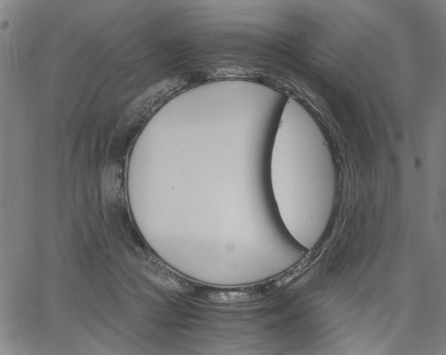 X0000067520361200604071030