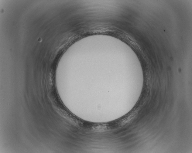 X0000067520362200604071030