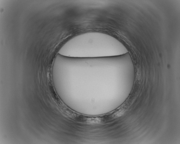 X0000067520363200604071030