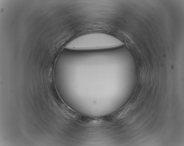 X0000067520364200604071030