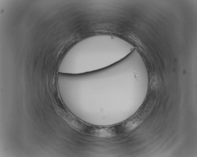 X0000067520365200604071030