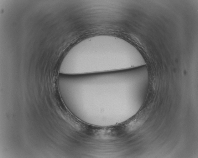 X0000067520366200604071030