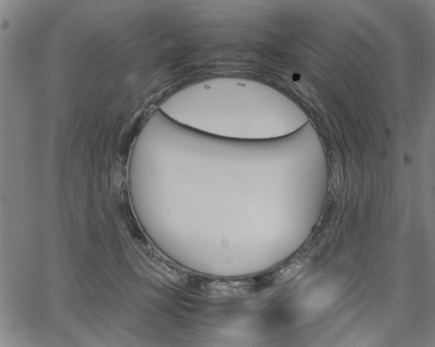 X0000067520367200604071030