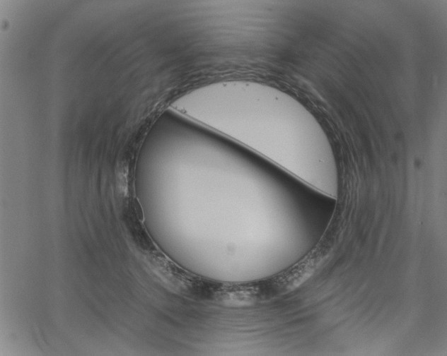 X0000067520368200604071030