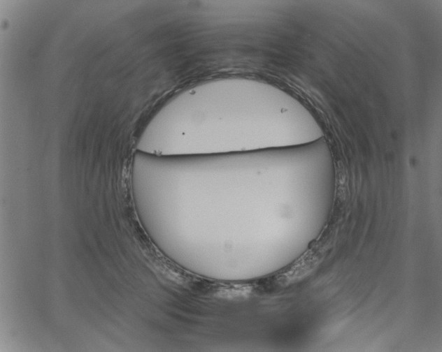 X0000067520369200604071030