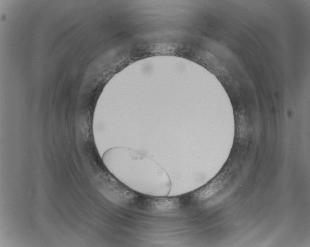 X0000067520370200604071030