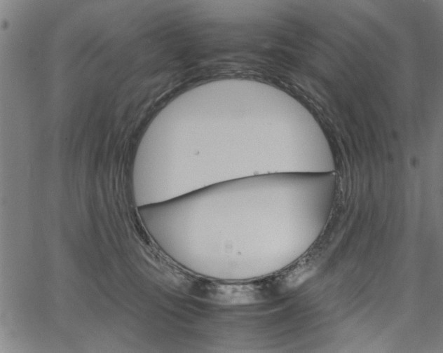 X0000067520371200604071030