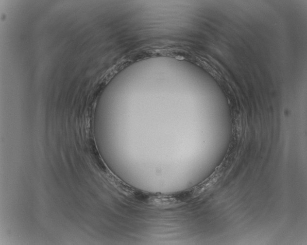 X0000067520372200604071030