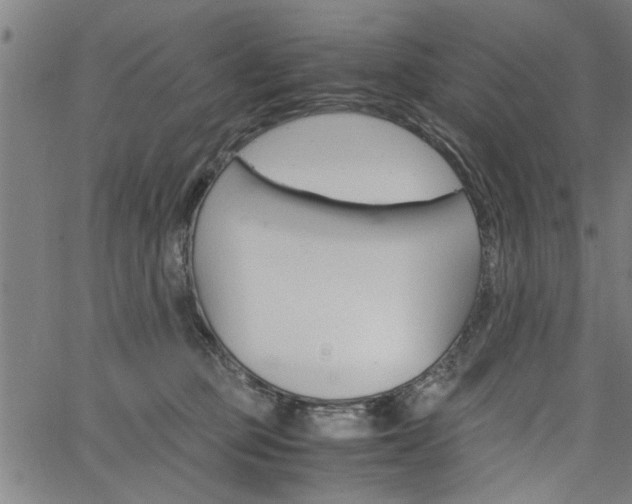 X0000067520373200604071030