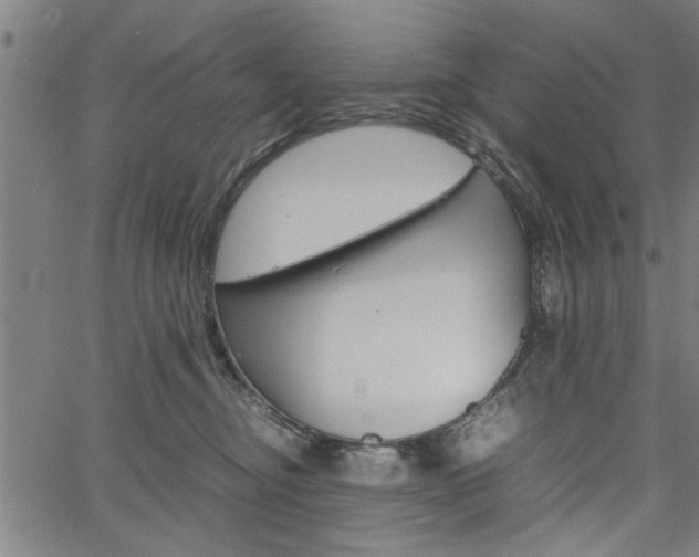 X0000067520374200604071030