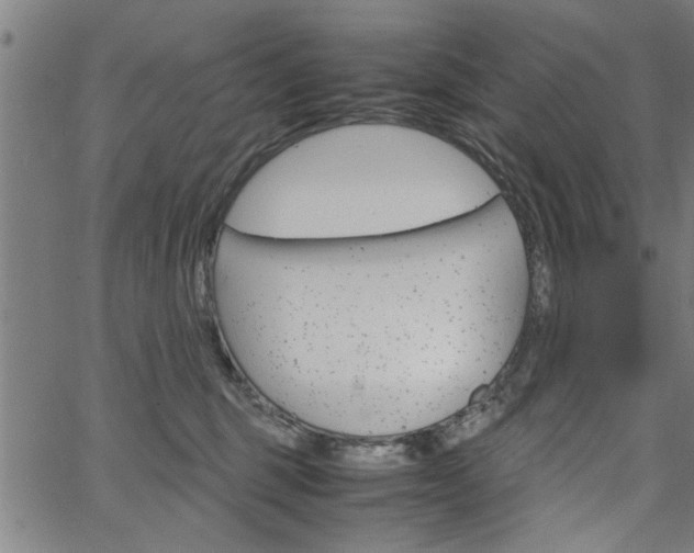 X0000067520375200604071030