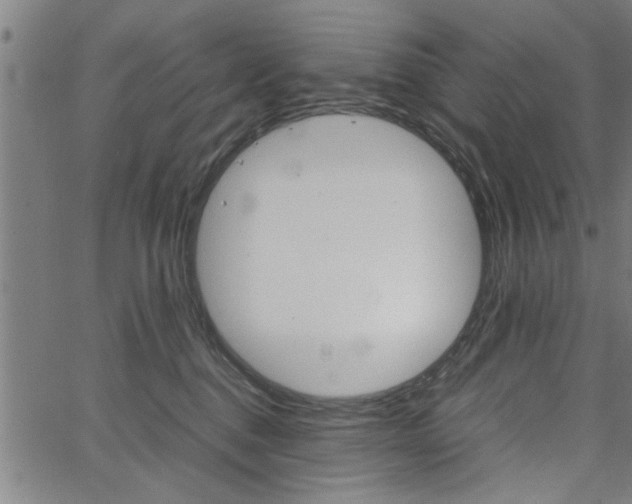 X0000067520376200604071030