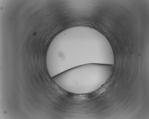 X0000067520378200604071030