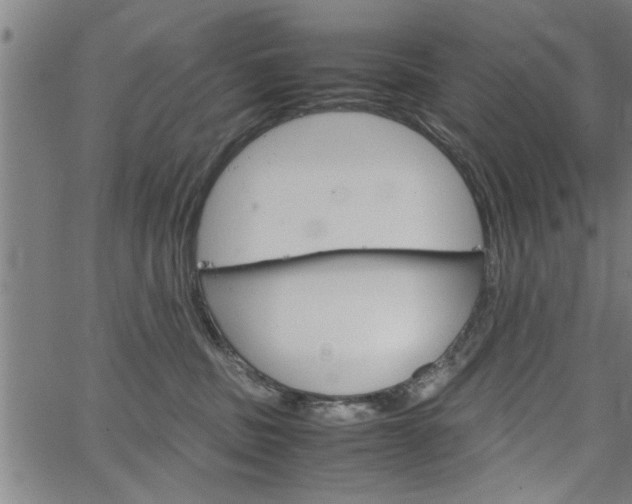 X0000067520379200604071030