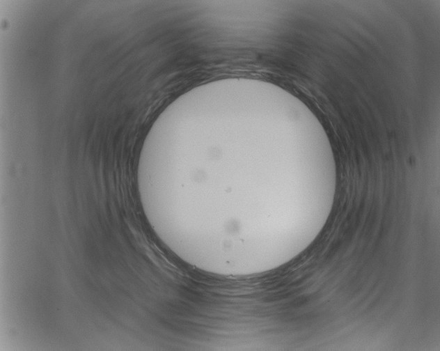 X0000067520380200604071030