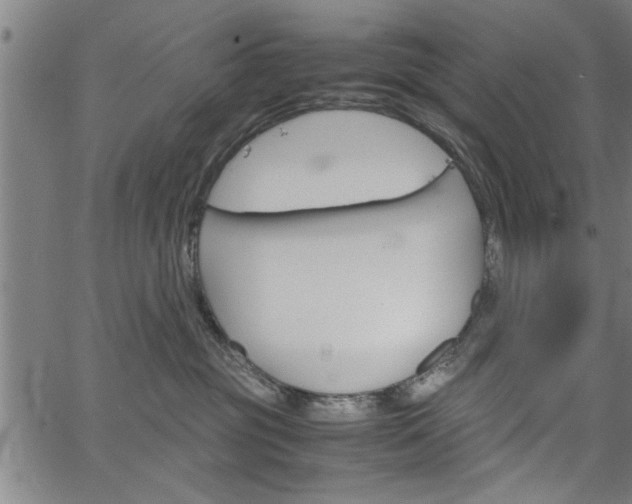 X0000067520381200604071030