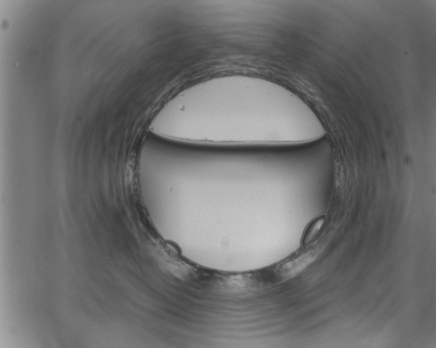 X0000067520382200604071030