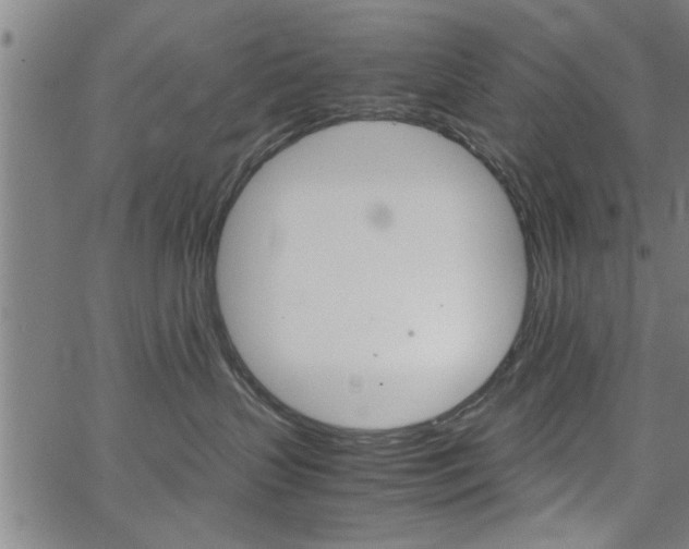 X0000067520383200604071030