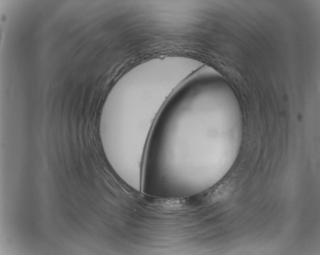 X0000067520384200604071030