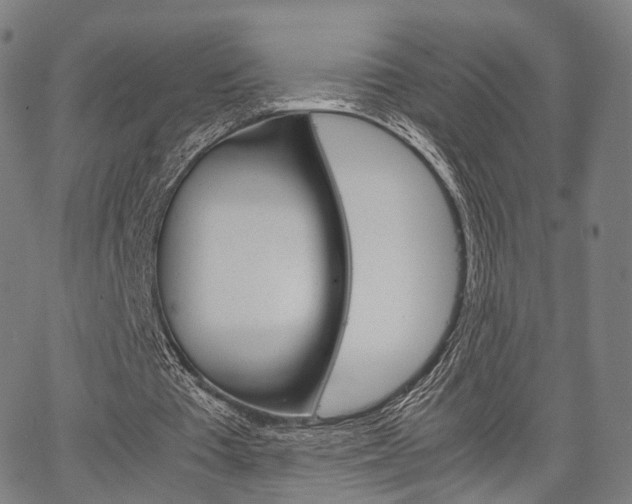 X0000067520385200604071029