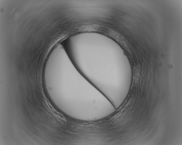 X0000067520386200604071029