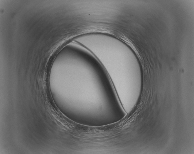 X0000067520387200604071029