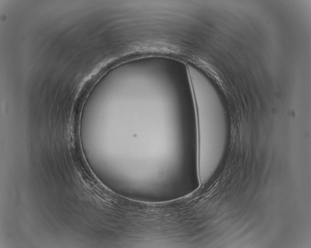 X0000067520388200604071029