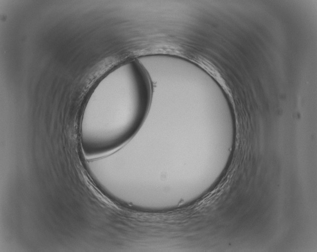 X0000067520389200604071029