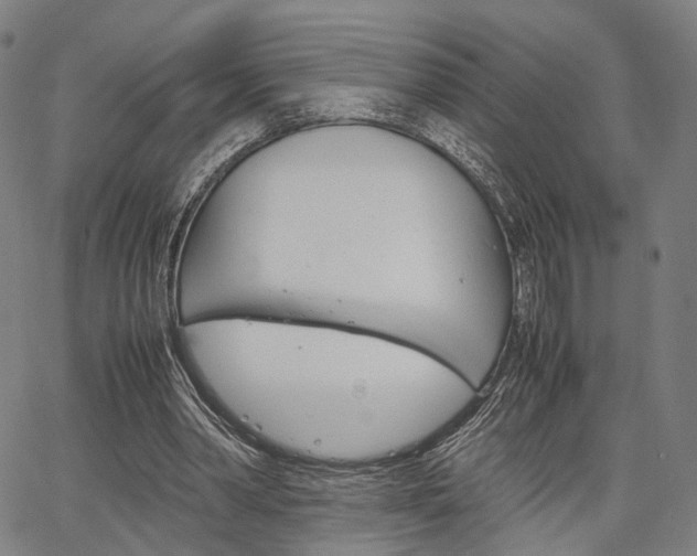 X0000067520390200604071029