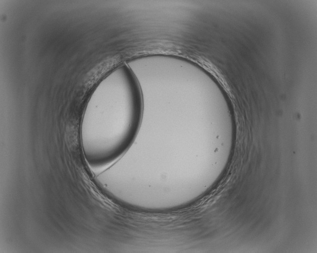 X0000067520393200604071029