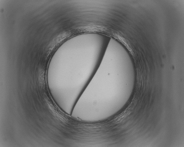 X0000067520394200604071029