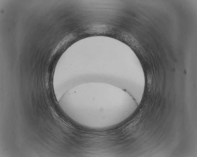 X0000067520396200604071029