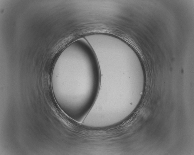 X0000067520397200604071029