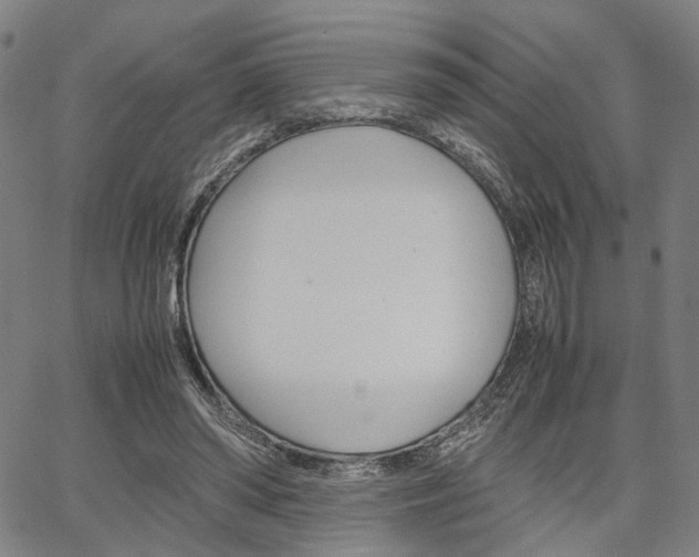 X0000067520398200604071029