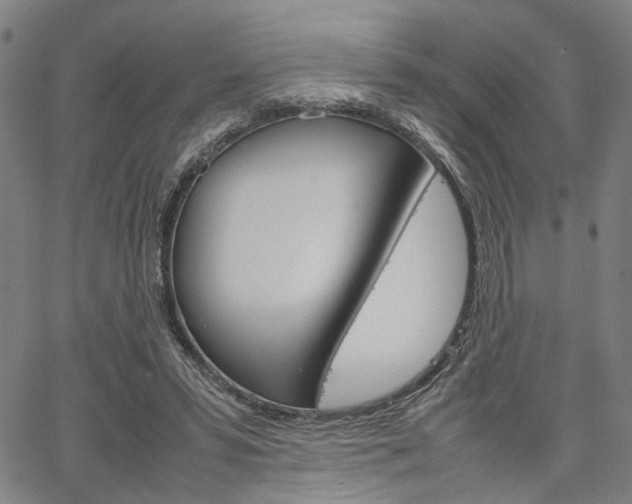 X0000067520399200604071029