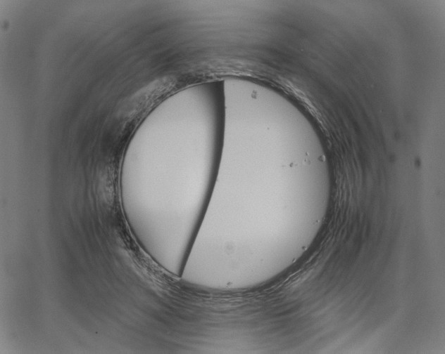 X0000067520402200604071029