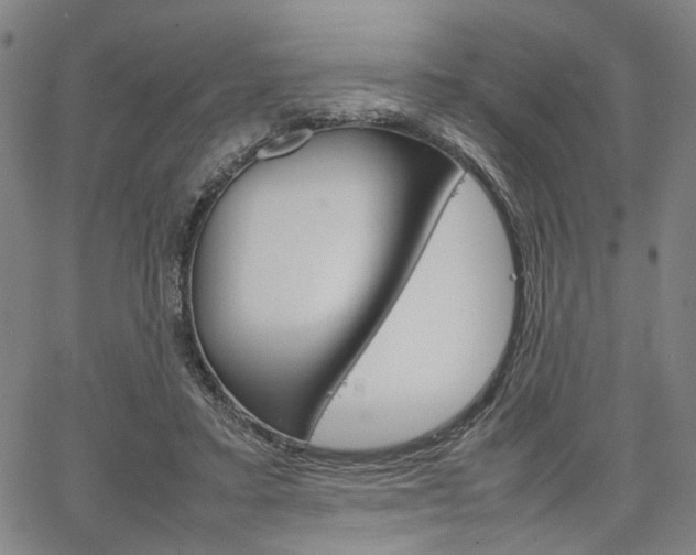 X0000067520403200604071029